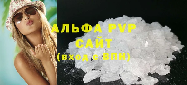 ПСИЛОЦИБИНОВЫЕ ГРИБЫ Ельня
