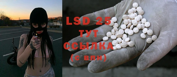 ПСИЛОЦИБИНОВЫЕ ГРИБЫ Ельня