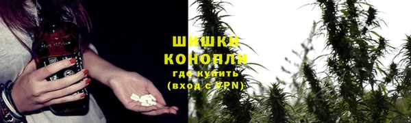 ПСИЛОЦИБИНОВЫЕ ГРИБЫ Ельня