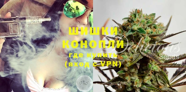 ПСИЛОЦИБИНОВЫЕ ГРИБЫ Ельня