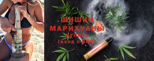 ПСИЛОЦИБИНОВЫЕ ГРИБЫ Ельня