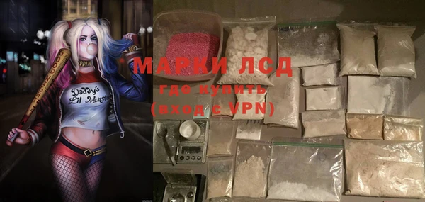 ПСИЛОЦИБИНОВЫЕ ГРИБЫ Ельня