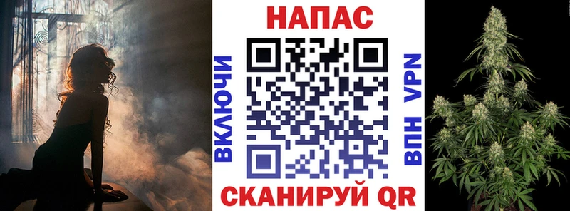 где купить   Касли  Канабис планчик 